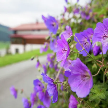 Brixen Near Lift ブリクセン イン ターレ